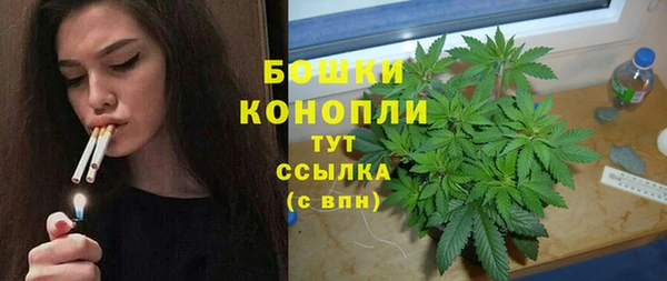МДПВ Анива