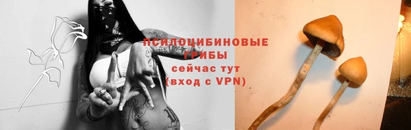 мдпв Красноперекопск